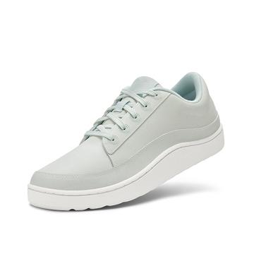 Allbirds Plant Pacers Sneakers Herren Grau | DE1878KO