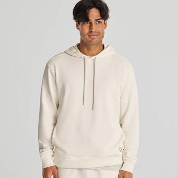 Allbirds R&R Hoodie Herren Beige | DE1543GS