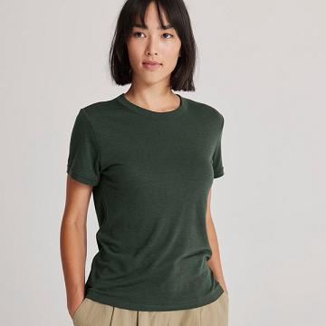 Allbirds Sea T-shirts Damen Grün | DE1140WN