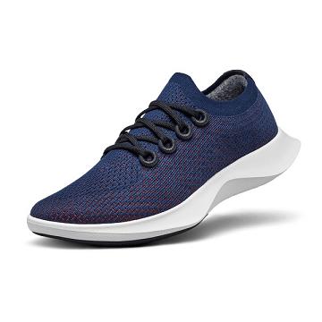 Allbirds Tree Dasher 1 Laufschuhe Damen Blau | DE1285DF