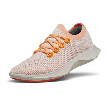 Allbirds Tree Dasher 1 Laufschuhe Damen Rosa Grau | DE1295EB