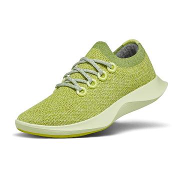 Allbirds Tree Dasher 1 Laufschuhe Damen Grün | DE1296WN