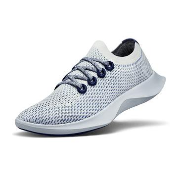 Allbirds Tree Dasher 1 Laufschuhe Herren Silber | DE1709TC