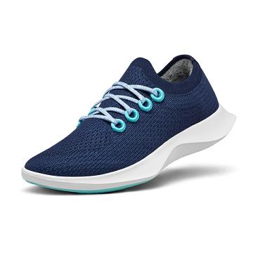 Allbirds Tree Dasher 1 Laufschuhe Herren Blau Weiß | DE1713QM