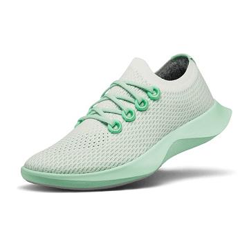 Allbirds Tree Dasher 1 Laufschuhe Herren Weiß Grün | DE1716BE