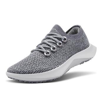 Allbirds Tree Dasher 2 Laufschuhe Damen Silber | DE1251XY