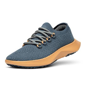 Allbirds Tree Dasher 2 Laufschuhe Damen Blau Gelb | DE1258FD