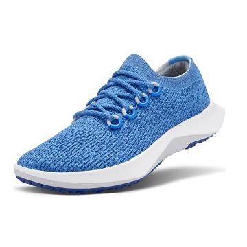 Allbirds Tree Dasher 2 Laufschuhe Damen Blau | DE1262PJ