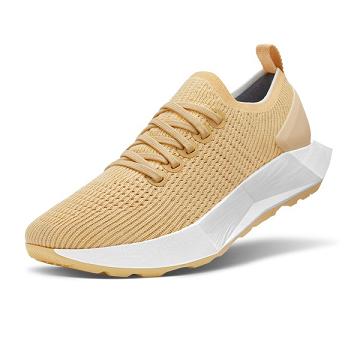 Allbirds Tree Flyers Laufschuhe Herren Beige | DE1697JP