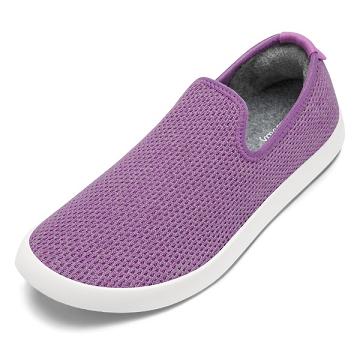 Allbirds Tree Loungers Slip On Schuhe Herren Lila Weiß | DE1777GS