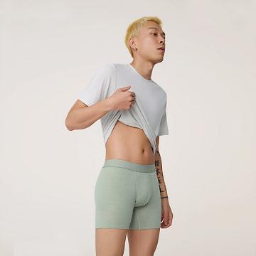 Allbirds Trino® Boxer Brief Unterwäsche Herren Grün | DE1604YX