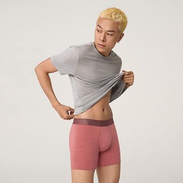Allbirds Trino® Boxer Brief Unterwäsche Herren Rot | DE1605TC