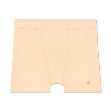 Allbirds Trino® Boxer Brief Unterwäsche Herren Braun | DE1606RV