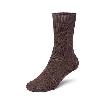 Allbirds Trino® Cozy Crew Socken Herren Rot | DE1535VR