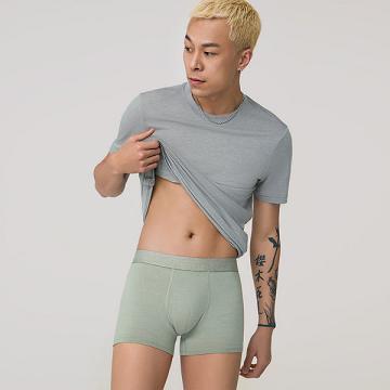 Allbirds Trino® Trunk Unterwäsche Herren Grün | DE1598SG