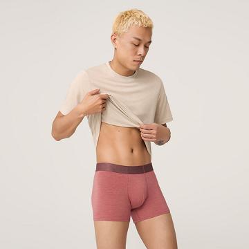 Allbirds Trino® Trunk Unterwäsche Herren Rot | DE1599AH