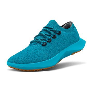 Allbirds Wolle Dasher Mizzles Wasserdichte Schuhe Damen Türkis | DE1171VR