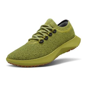 Allbirds Wolle Dasher Mizzles Wasserdichte Schuhe Damen Grün | DE1172CT