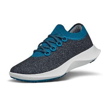 Allbirds Wolle Dasher Mizzles Wasserdichte Schuhe Damen Blau Grau | DE1174ZU